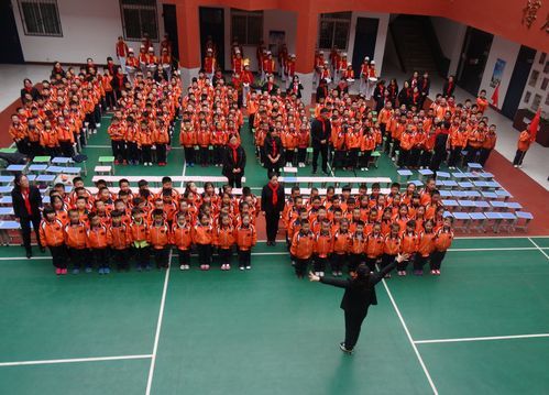铜川新区阳光小学一年学费多少？（铜川义务教育招生）