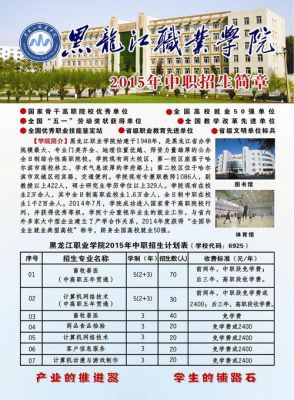 中专招生方式怎么填？（在细分教育市场招生）