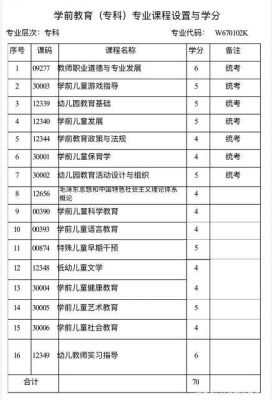 了解学前教育专业所对应的职业分类？（招生类别学前教育）