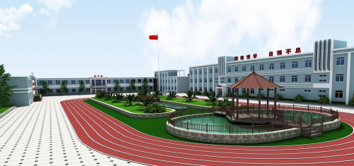 龙安实验中学是民办吗？（龙安区私立教育小学招生）