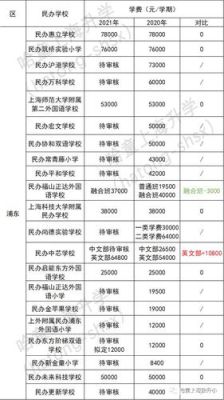 今年浦东向未来外国语小学一共招几个班？（浦东继续教育招生）