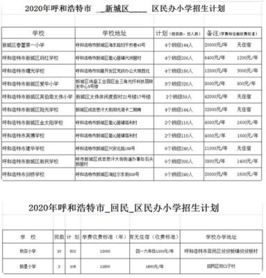 呼和浩特私立学校报名条件？（私立小学教育招生方案）