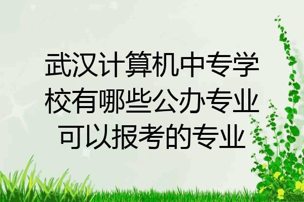 职高计算机网络应用可以考的本科？（网络教育招生院校中职）