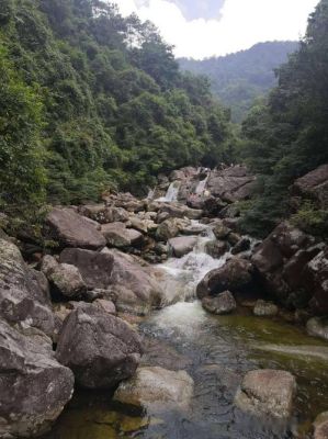 上思十万大山值得去吗？（广西网络教育上思招生）