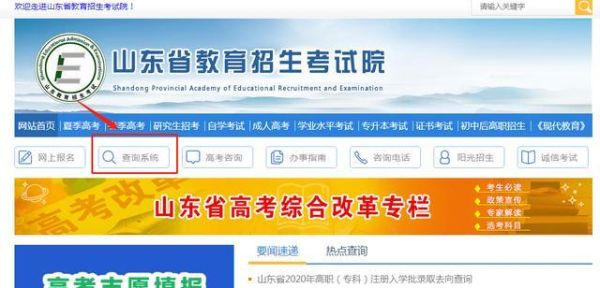 山东注册入学录取结果怎么查询？（山东教育招生学院网站）