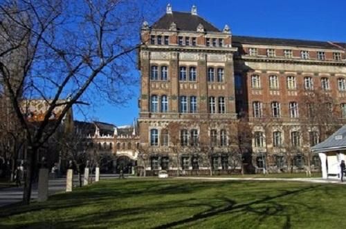 多瑙新城大学有飞行专业吗？（新城会计教育培训招生）