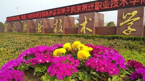 江苏宿迁八维学校怎么报名？（宿迁八维教育招生）