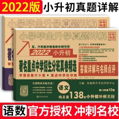 小升初大小联盟是什么?我不明白。解释一下，详细点可以吗？（教育招生联盟是什么）