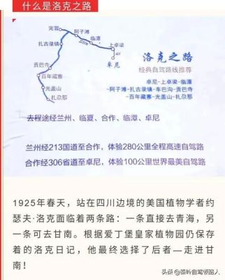 洛克之路从哪边出发好？（新之路教育 云南招生）