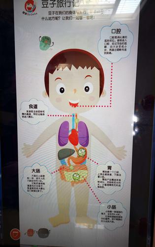选择八大系统／感觉器官任一内容，以健康教育为主题，如何设计一个易于幼儿理解的主题海报，只需要建议？（幼儿教育招生素材）