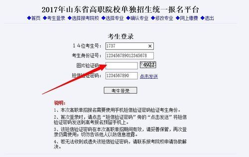 山东单招账号怎么注册？（山东教育招生单招）