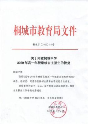 2020年桐城中学招生计划？（2020教育行业招生报告）