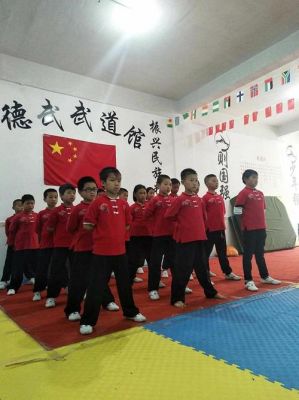 不讲武道怎么解释？（武道教育招生方案）