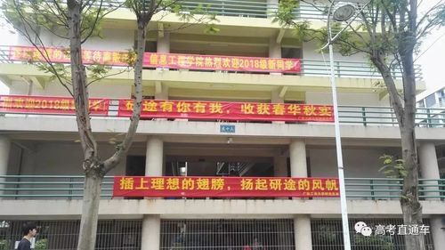开学迎新横幅？（教育机构开学招生条幅）