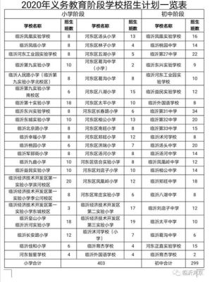2015年临沂小学新生入学人数？（临沂教育小学招生2018）