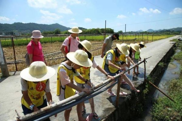 龙岩营地网络研学云课堂哪里登录？（营地教育招生网站）
