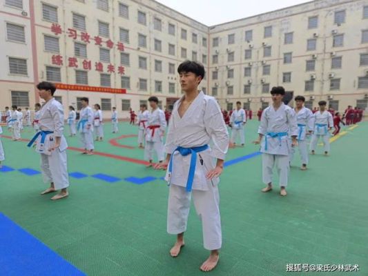 河南，登封，少林，鹅坡武术教育集团怎么去？（鹅坡教育集团招生）