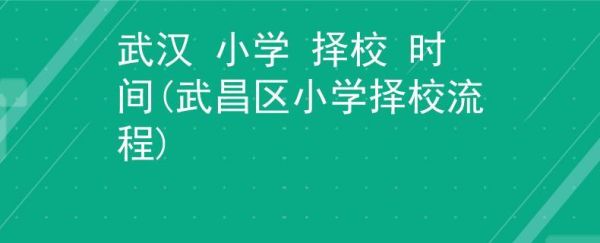 盘龙城的小学一年级怎么报名？（2019教育城小学招生）