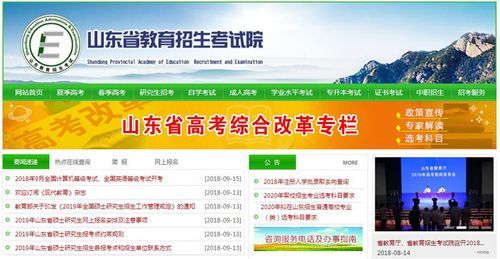 山东省教育招生院官网如何查看？（山东教育招生院官）