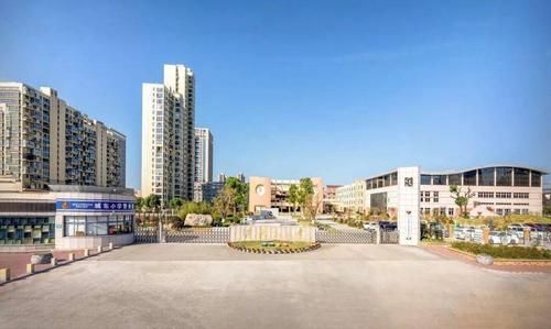 城东小学本部是哪个校区？（城东教育城招生条件）