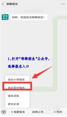 邯郸小升初怎么在网上报名？（邯郸现代教育招生）