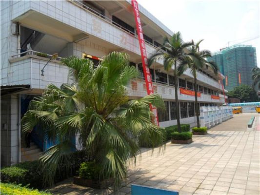 肇庆市高要华侨实验学校学费多少？（高要教育培训机构招生）
