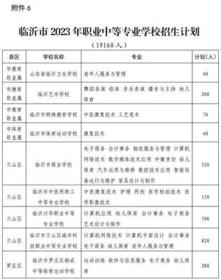 临沂罗庄2023高中招生计划？（罗庄教育招生录取）