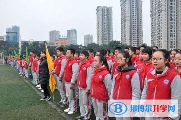 重庆巴南教育管理学校官网？（巴南教育招生查询）