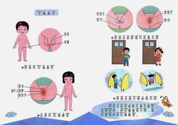 关于性教育的八件事？（性教育讲座招生方案）