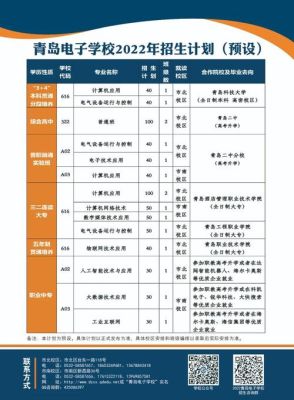 电子校是什么学校？（教育部电子招生）