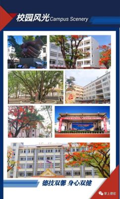 芒市职业教育中心有些什么专业？（芒市教育局招生）