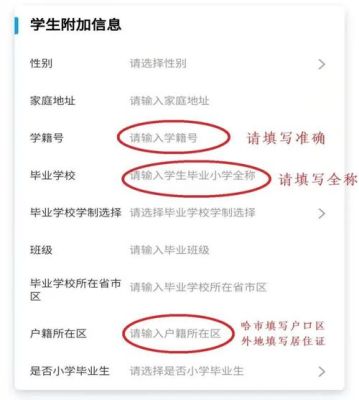 小升中怎么线上报名？（线上教育招生模式图表）