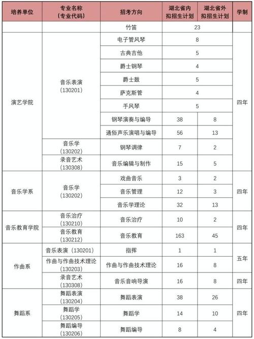 深圳音乐学院2023本科招生简章？（深圳音乐教育招生）