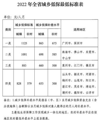 2022年农村合作医疗特殊人群缴费标准？（定兴特殊教育招生）