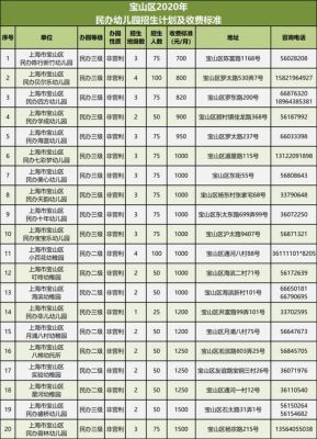 2020年宝山幼儿园招生资料？（宝山教育幼儿招生）