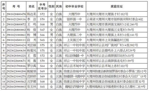 2023年大理小升初录取结果如何查询？（大理教育局招生）