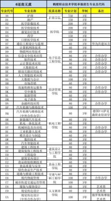 鹤壁职业学院代码？（淇滨区网络教育大专招生）