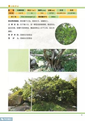 达州市古树名单？（朝阳永盛教育招生）