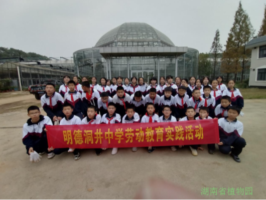 明德洞井和雅礼雨花哪个好？（雨花区哪些教育集团招生）