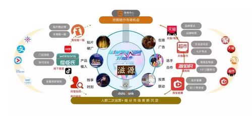 企业的品牌决策包括哪些内容？各有什么特征？（教育机构招生传播战略）