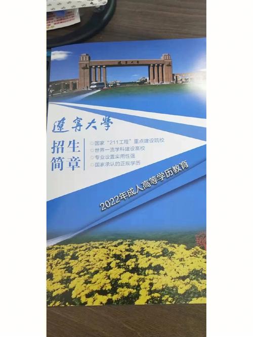 2022辽宁大学汉语国际教育招生简章？（国际教育本科招生）