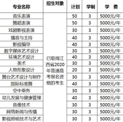 江西艺术职业学院招生条件？（江西职业教育招生）