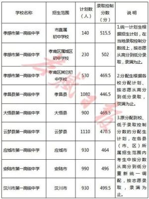 2021年孝感高级中学自主招生吗？（孝感教育招生网）