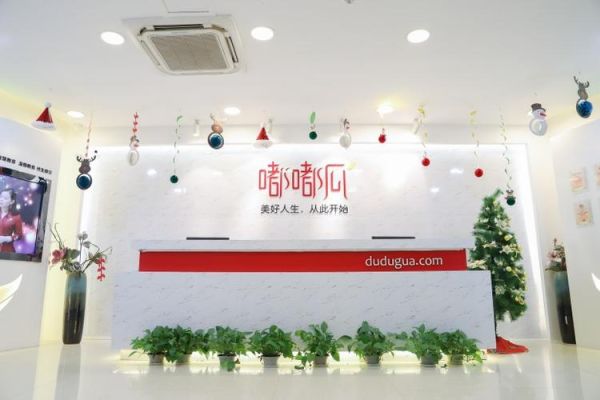 嘟嘟瓜美业是正规公司吗？（嘟嘟教育正在招生吗）