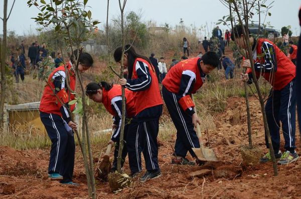广汉中学清北苗圃班学费怎么样？（广汉教育培训招生团队）