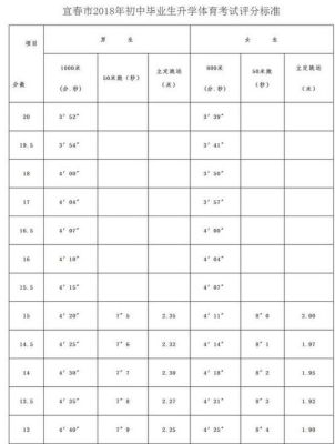 2011江西宜春地区中考体育特长生的考试项目和达标标准？（宜春中考体育教育招生）