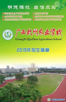 钦州农校2020招生简章？（钦州教育机构招生方案）