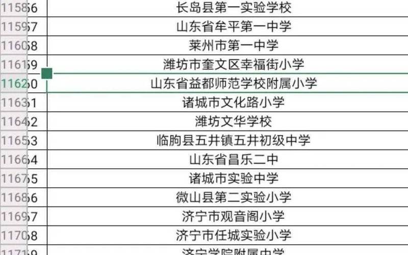 2023青州市师范附小一年级招生简章？（青州教育小学招生范围）
