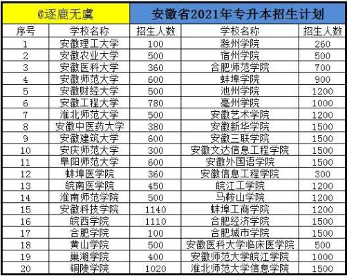 中考生在安徽能报哪些大专学校？（安徽大专教育招生）