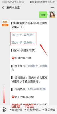 重庆小学摇号怎么摇？（重庆教育招生摇号）